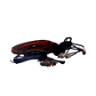 HX82 - 2 - Channel 8 Gauge Amplifier Installation Kit W/ RCA Interconnect and 20 ft Speaker Cable - HX82 - Diamond Audio