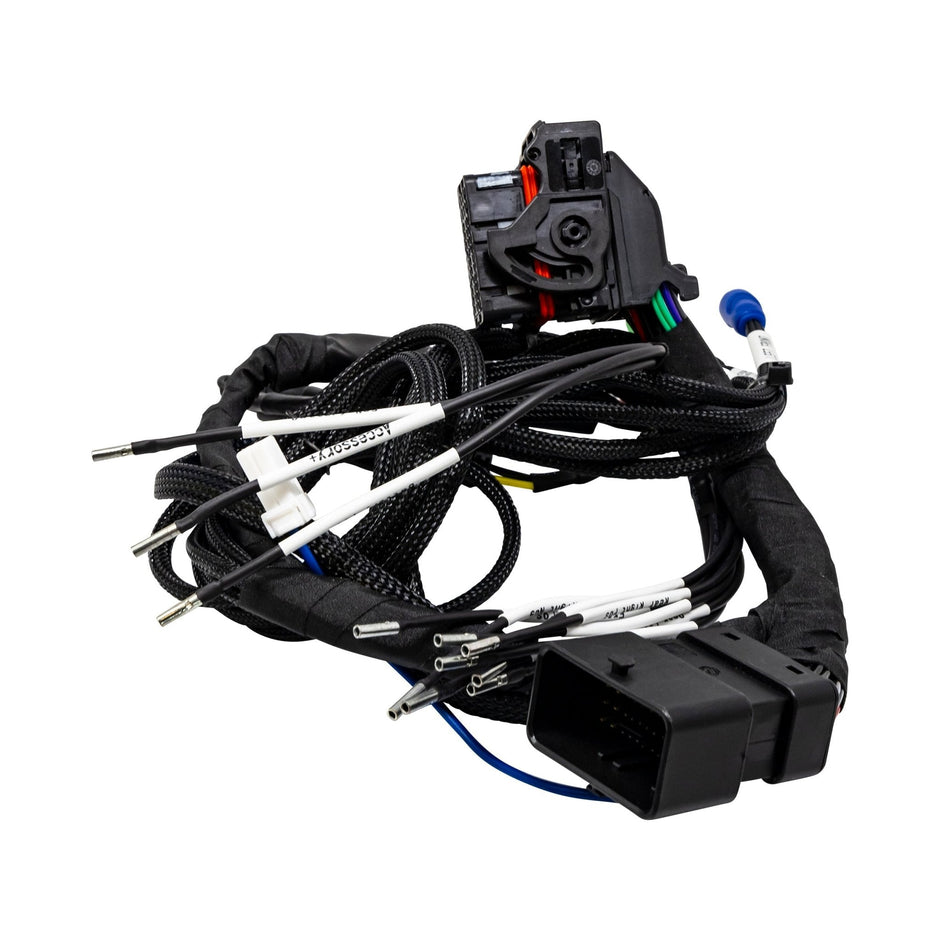 2014 - 2023 Harley Davidson® Radio T - Harness Kit (Standard Model) - CTLINK - Cerwin Vega