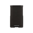 Cerwin-Vega CVE-10 10 inch 2-way powered PA speaker - view 1