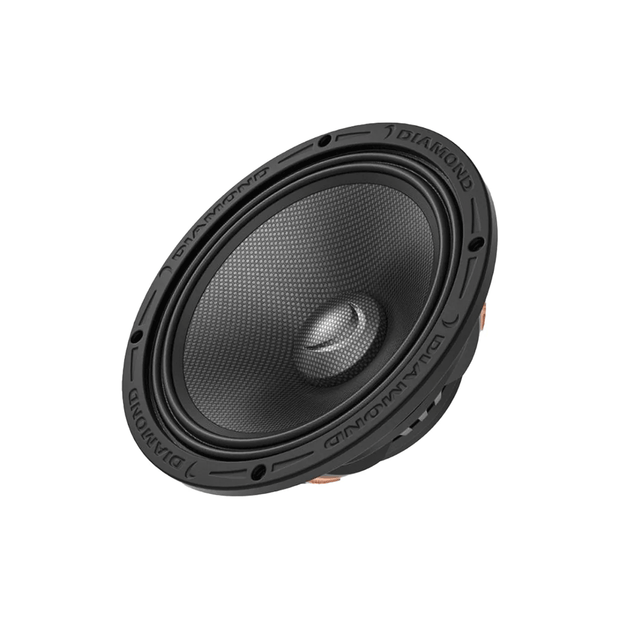 MSNEO 10" High Power Mid Bass Speakers (2Ω) - MSMB102NEO
