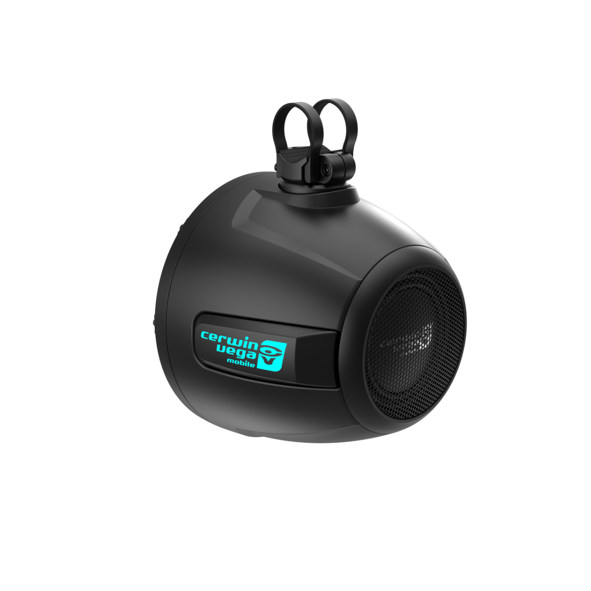 The black, oval-shaped 2-Way 10