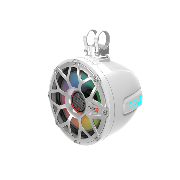 Cerwin Vega 2-Way 10 Inch Speaker Pods - White