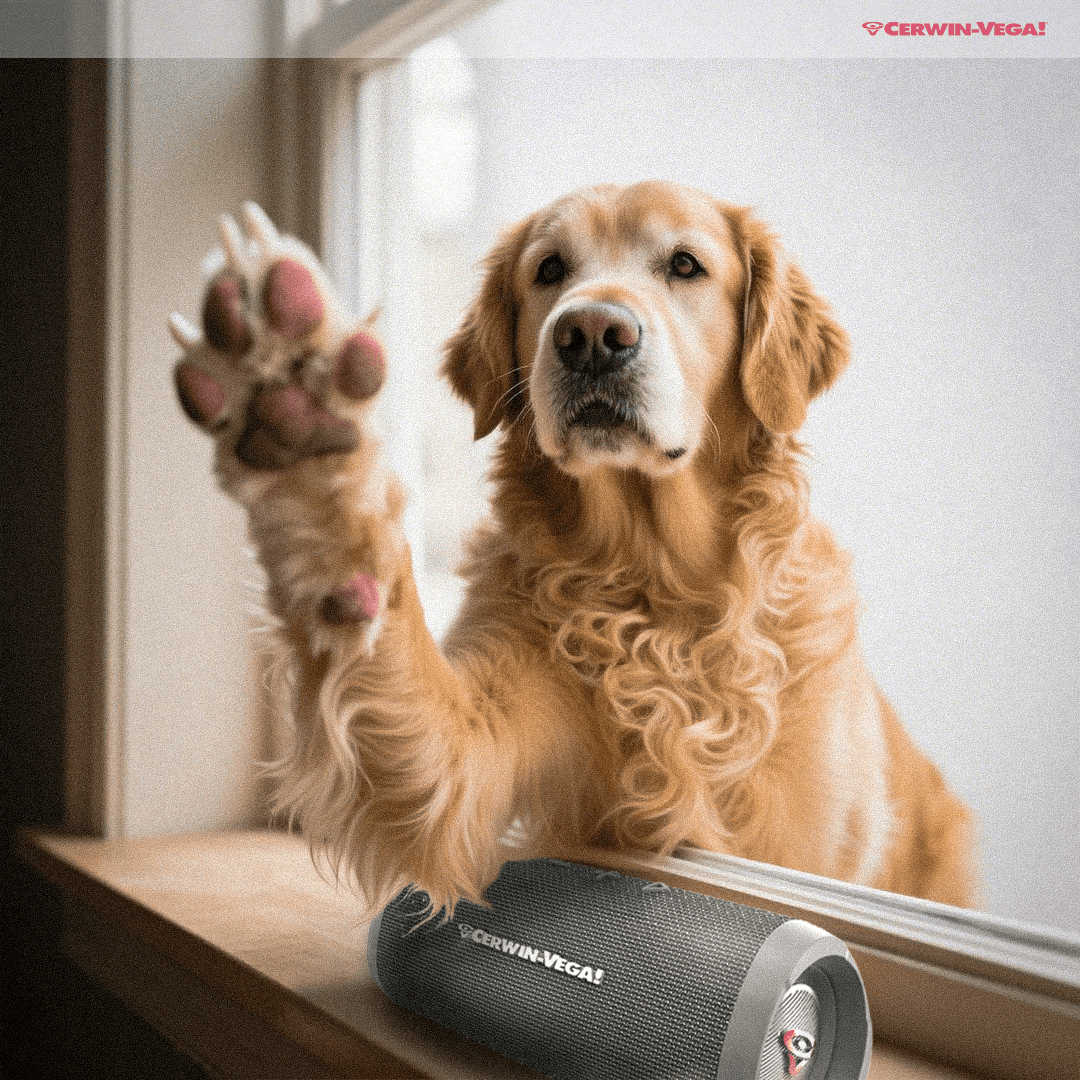 VEGAMINI - Portable Compact Powerhouse Bluetooth Speaker - Cerwin Vega