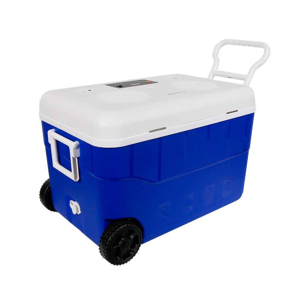 DACC65 - Blue Cooler with 2 - Way 6.5