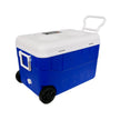 DACC65 - Blue Cooler with 2 - Way 6.5