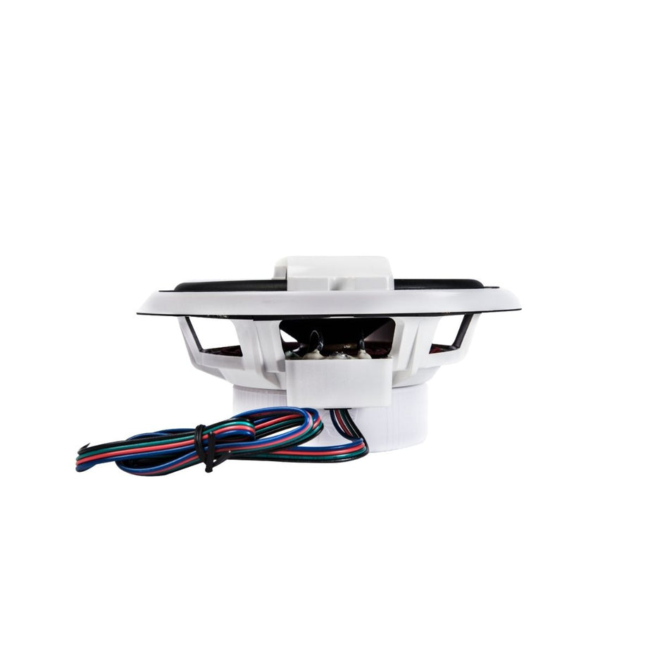 RPM Vega Marine Speakers - Cerwin Vega